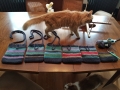 julie no 18 bags