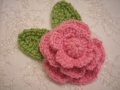 lilys flowers5