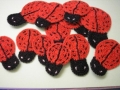 lilys ladybugs