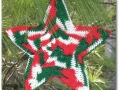 holiday star (2)