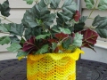 yellow basket